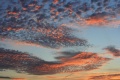 020808 010k.jpg